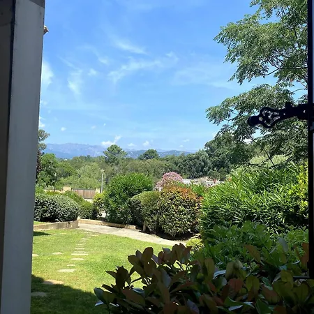 T3cj N14 * Pinarellu