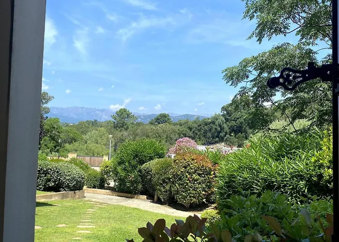 T3cj N14 * Pinarellu